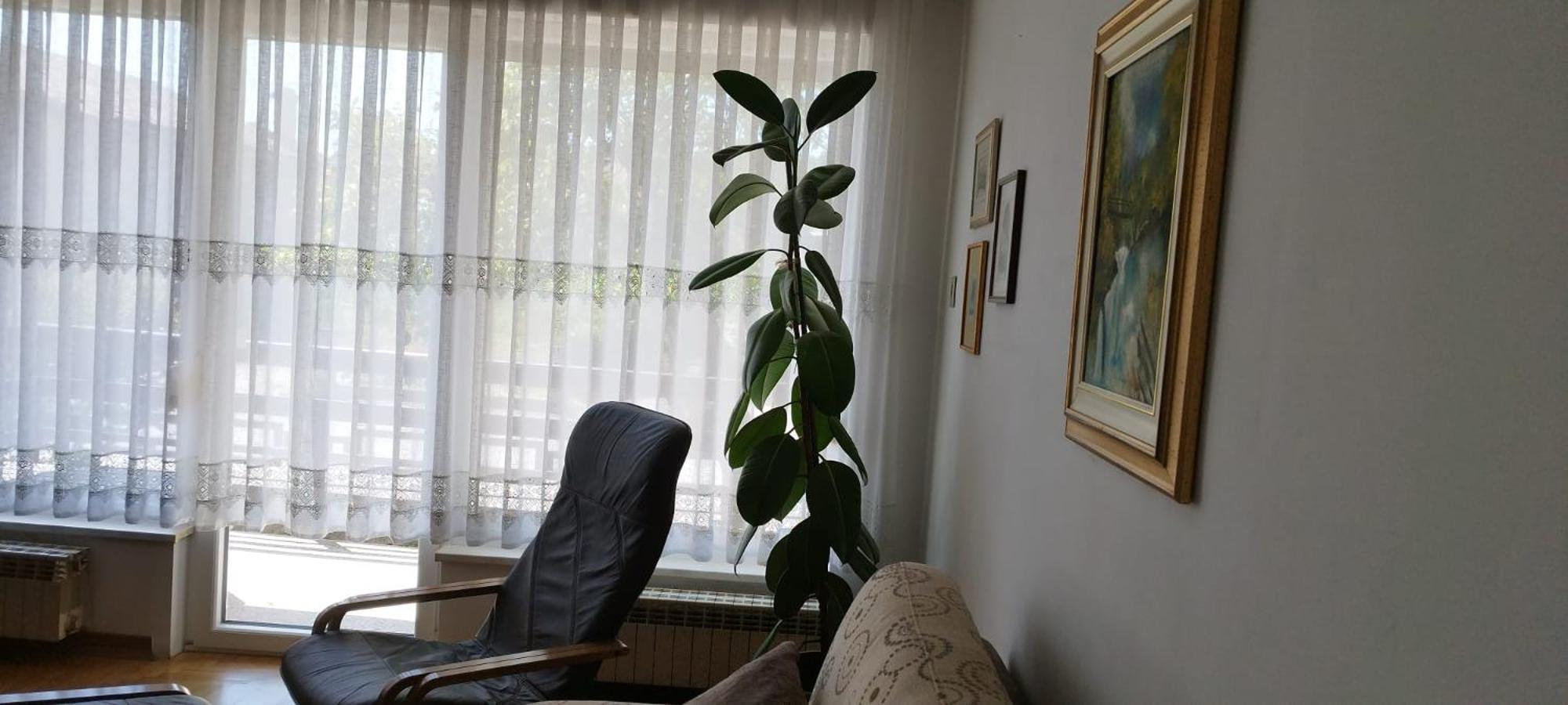 7 Flower Street Apartment 森佩特·普里·哥里齐 外观 照片