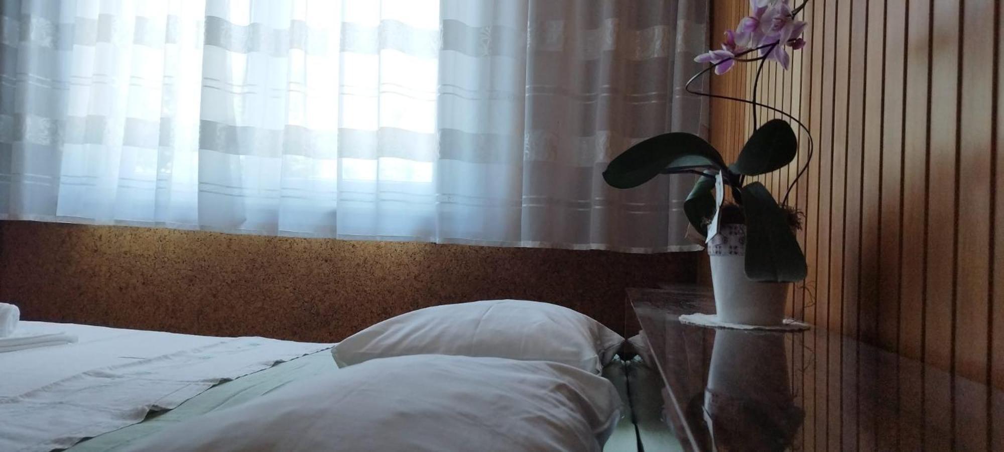 7 Flower Street Apartment 森佩特·普里·哥里齐 外观 照片