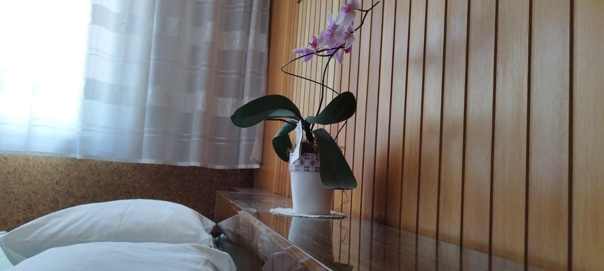 7 Flower Street Apartment 森佩特·普里·哥里齐 外观 照片